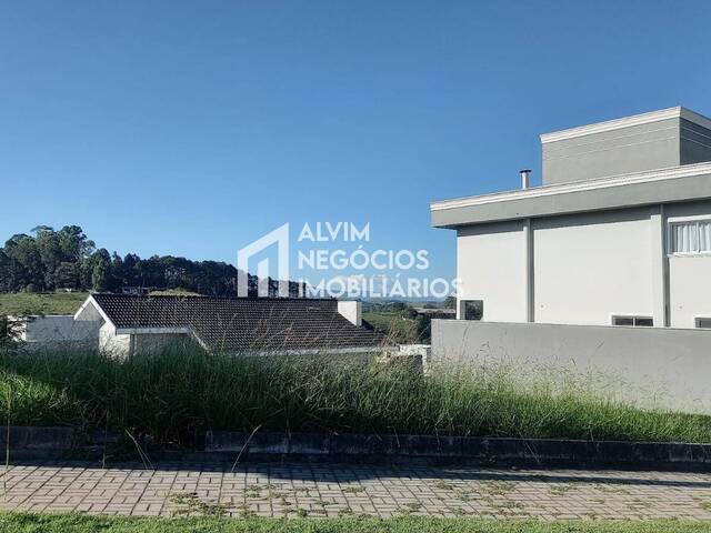 #TE903 - Área para Venda em São José dos Campos - SP - 3