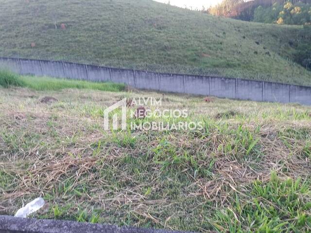 #TE904 - Área para Venda em São José dos Campos - SP - 3