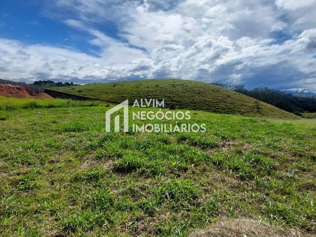 #TE910 - Área para Venda em São José dos Campos - SP - 3