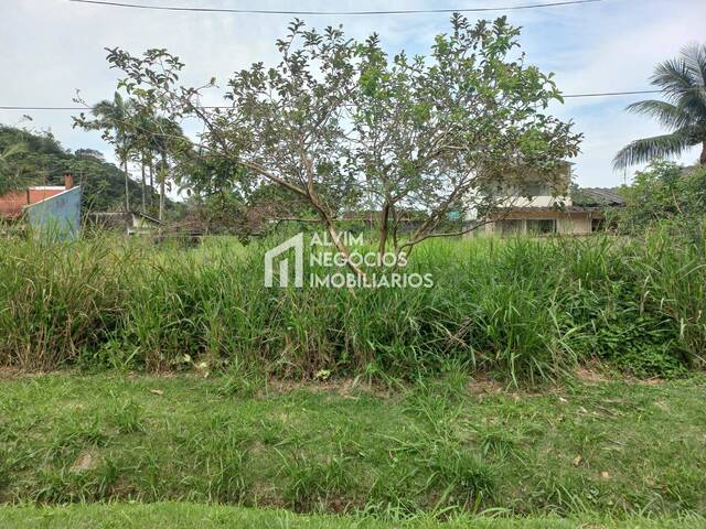 #TE919 - Área para Venda em Caraguatatuba - SP - 1