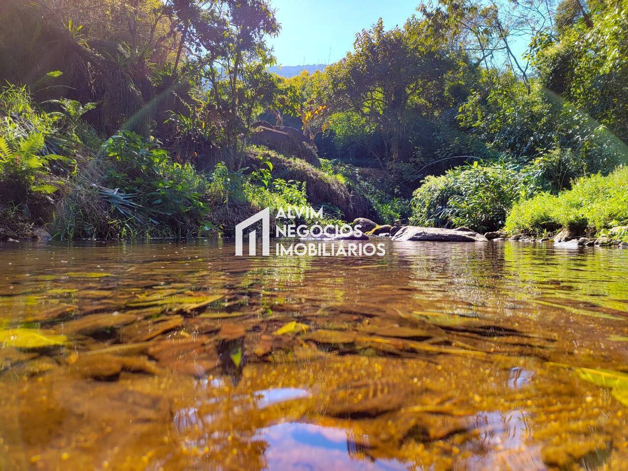 Chácara, 5 quartos, 1 hectares - Foto 22