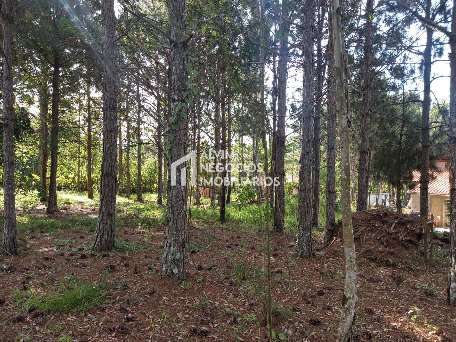 Prédio Inteiro à venda, 576m² - Foto 38