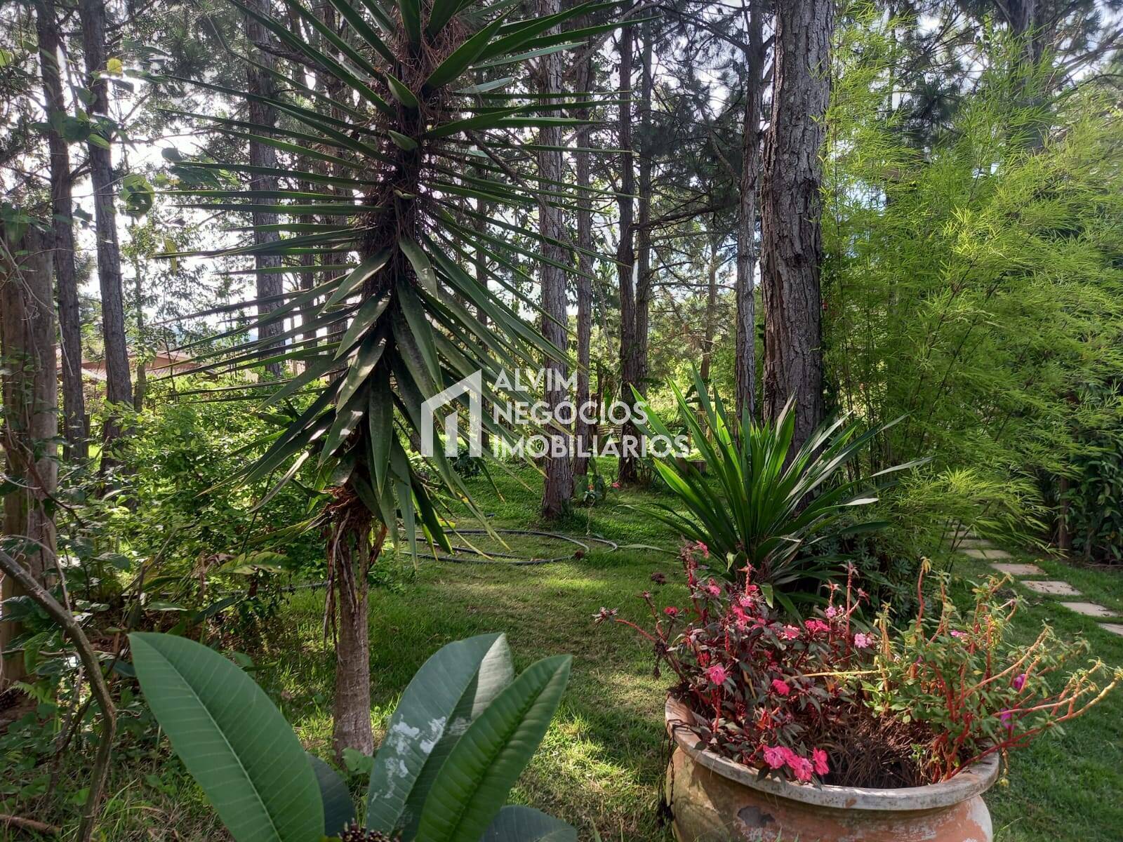 Prédio Inteiro à venda, 576m² - Foto 36