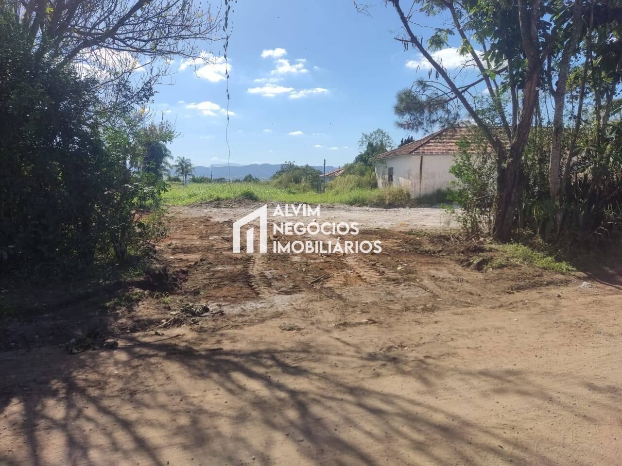 Terreno, 6050 m² - Foto 4