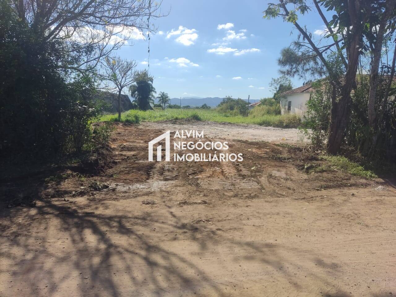 Terreno, 6050 m² - Foto 5