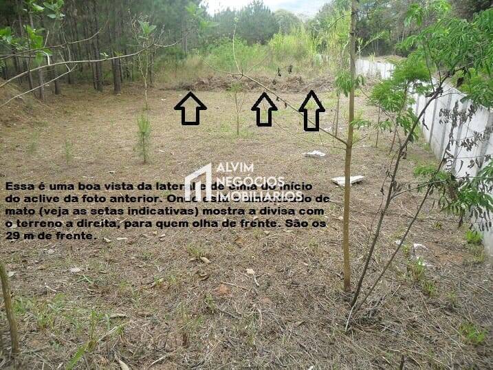 Terreno, 1515 m² - Foto 10