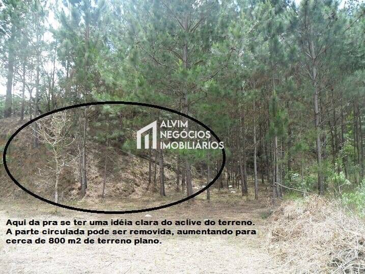 Terreno, 1515 m² - Foto 8