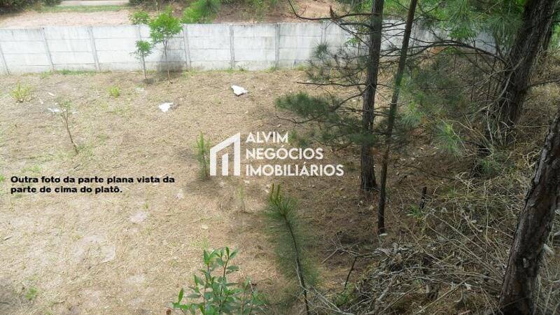 Terreno, 1515 m² - Foto 12