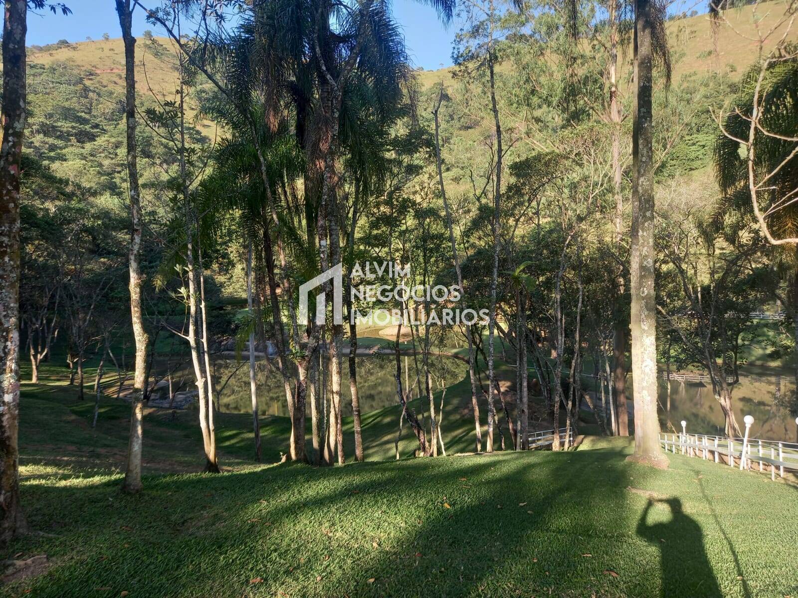 Sítio à venda com 4 quartos, 12m² - Foto 6