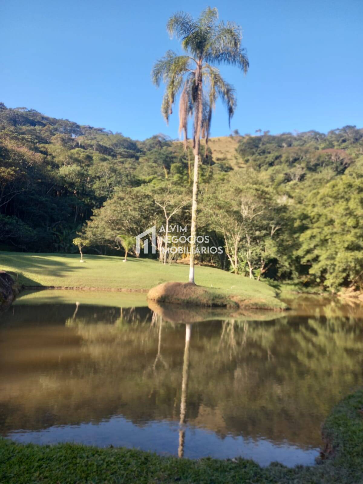Sítio à venda com 4 quartos, 12m² - Foto 5
