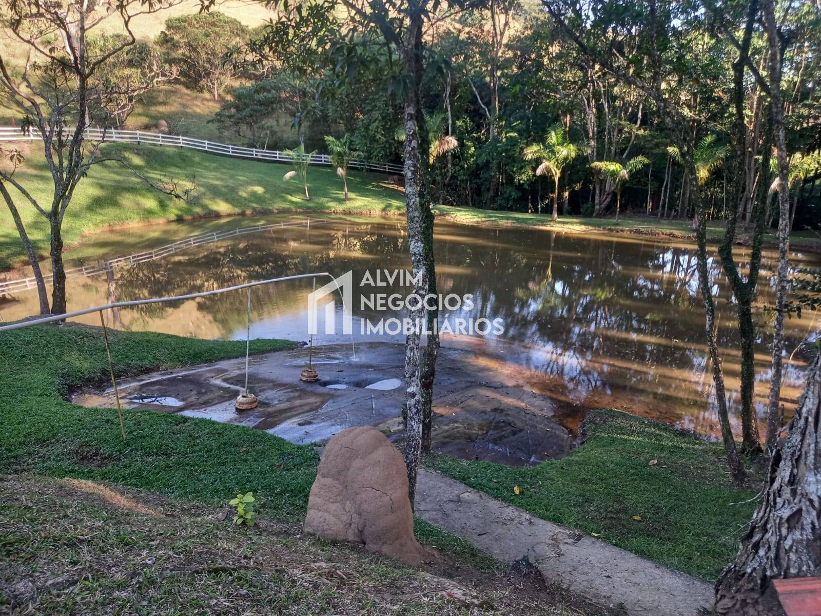 Sítio à venda com 4 quartos, 12m² - Foto 7