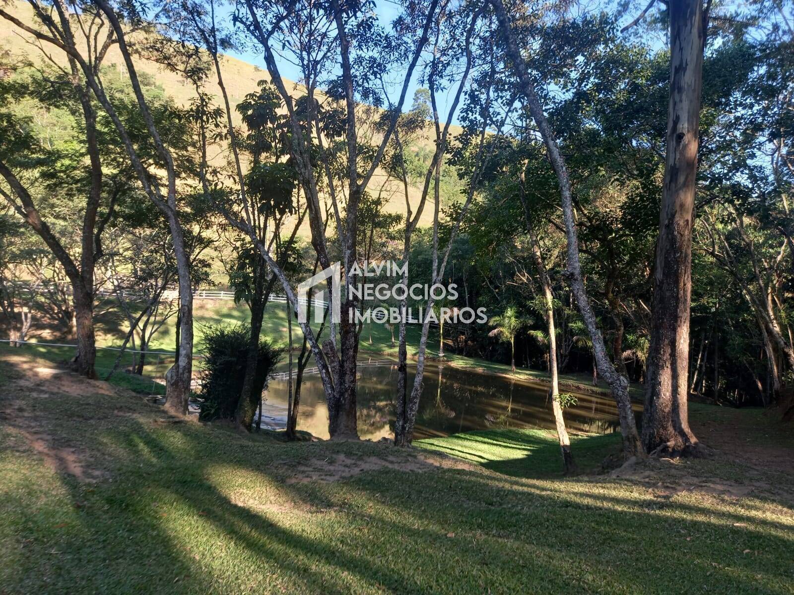 Sítio à venda com 4 quartos, 12m² - Foto 8