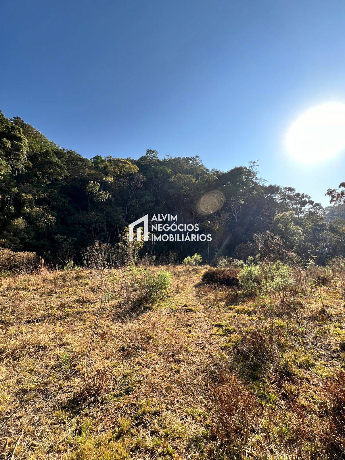 Terreno, 7 hectares - Foto 3