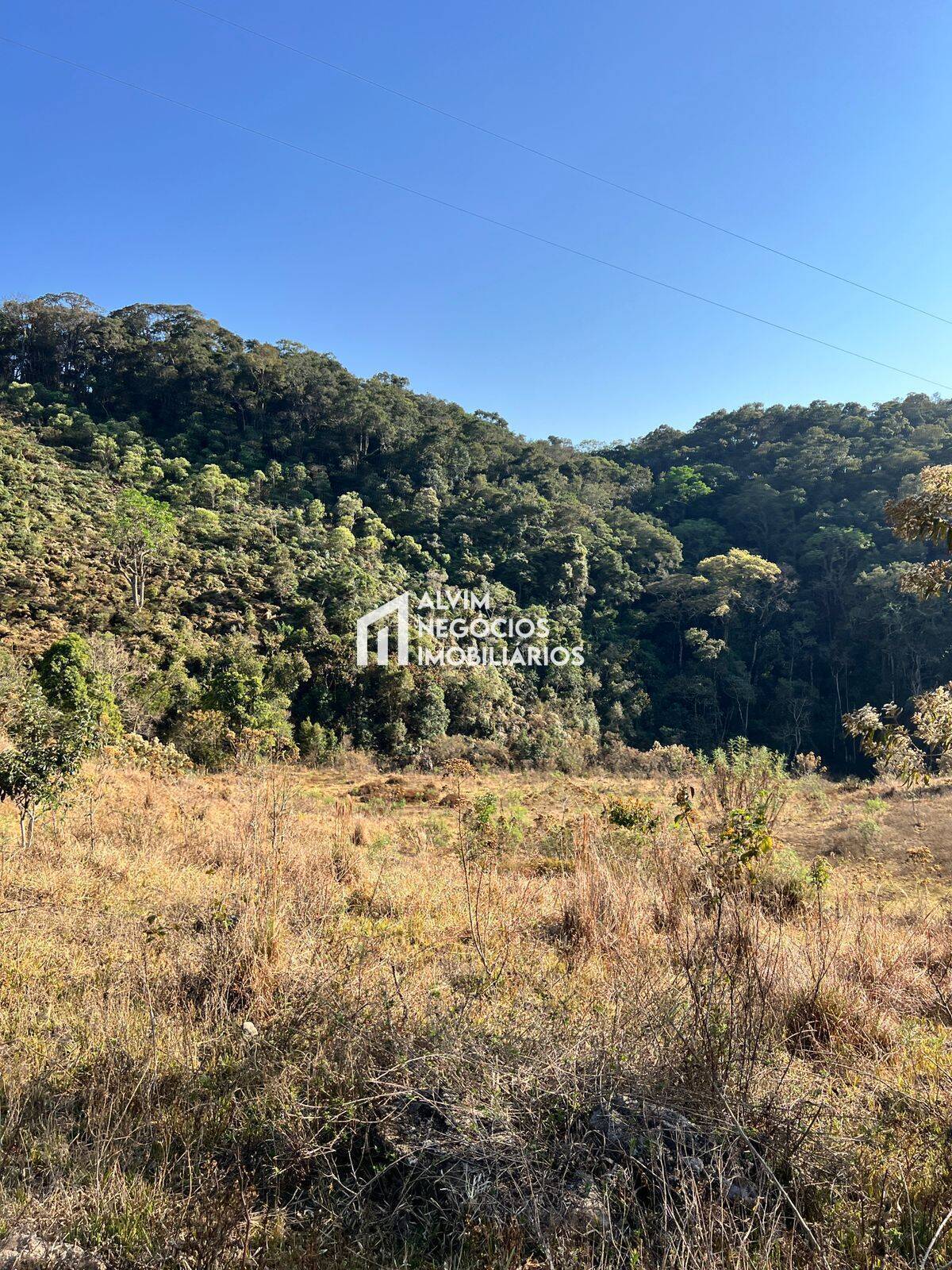 Terreno, 7 hectares - Foto 4