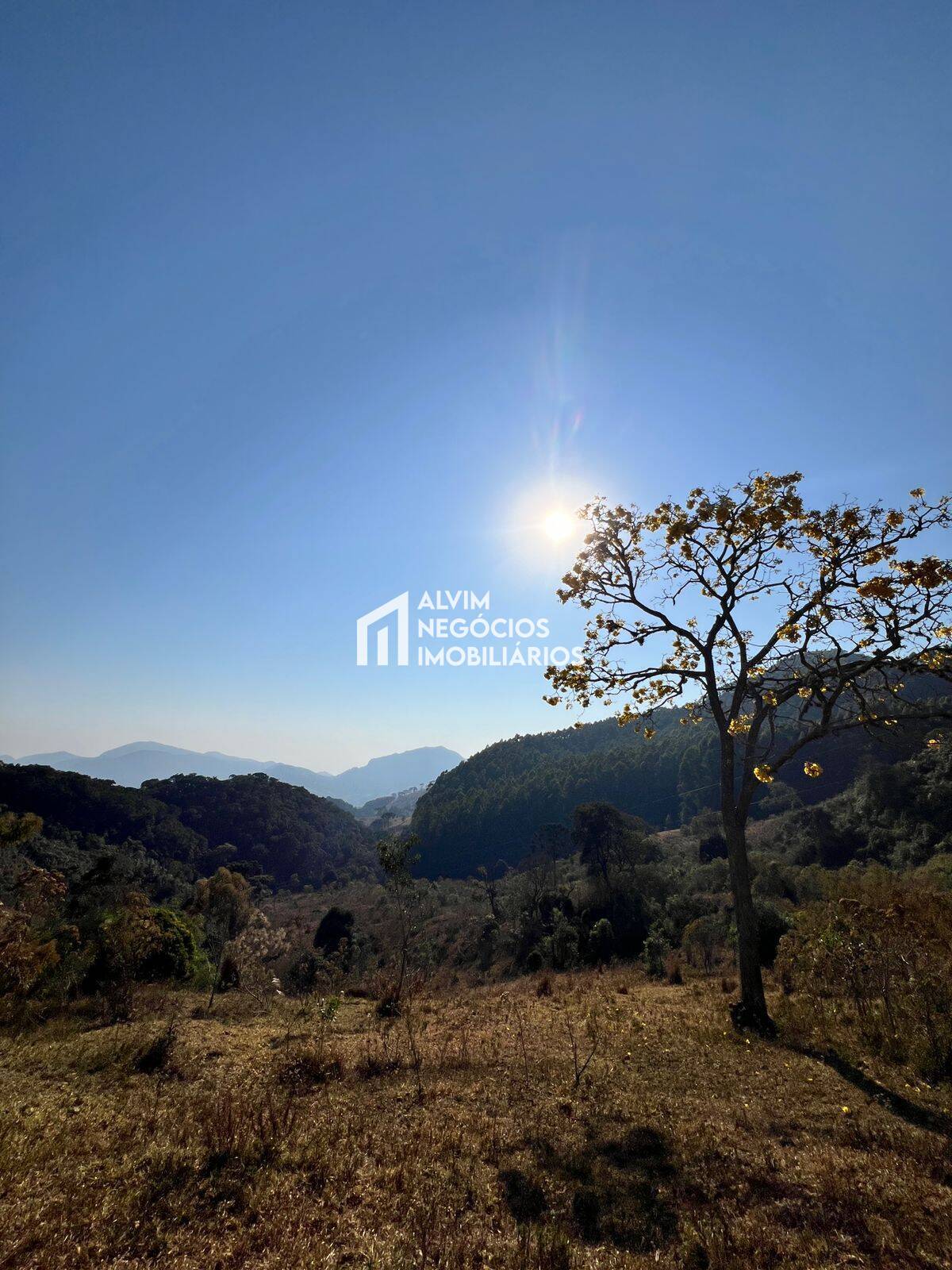 Terreno, 7 hectares - Foto 7