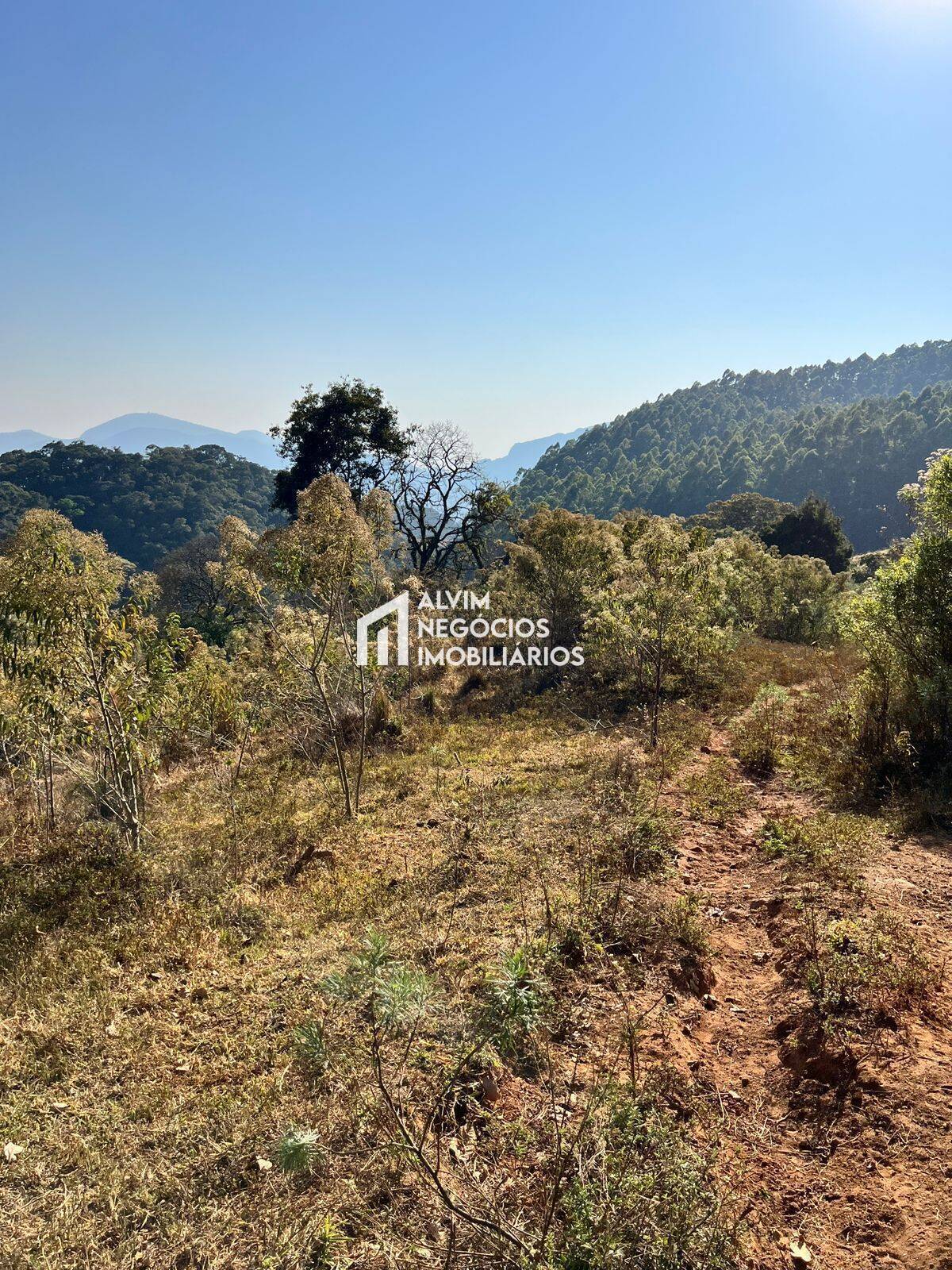 Terreno, 7 hectares - Foto 8