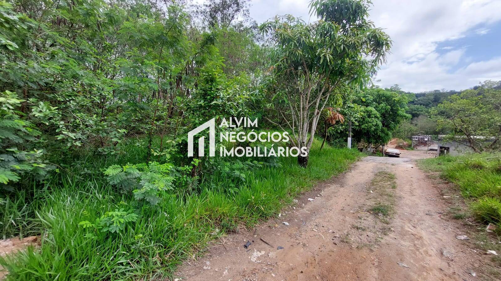 Terreno, 5000 m² - Foto 4