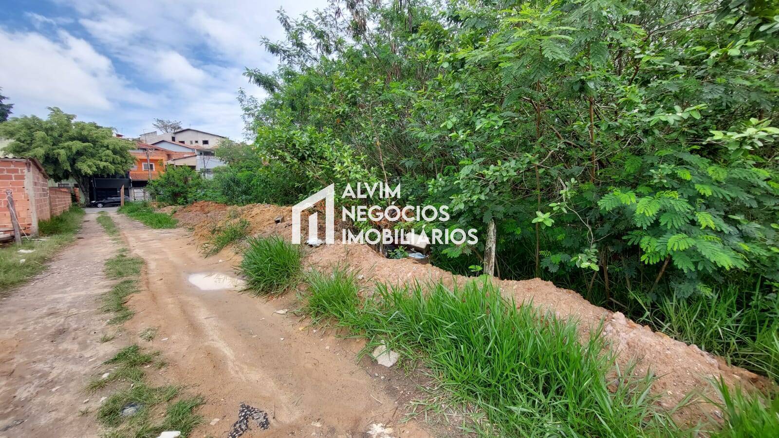 Terreno, 5000 m² - Foto 5