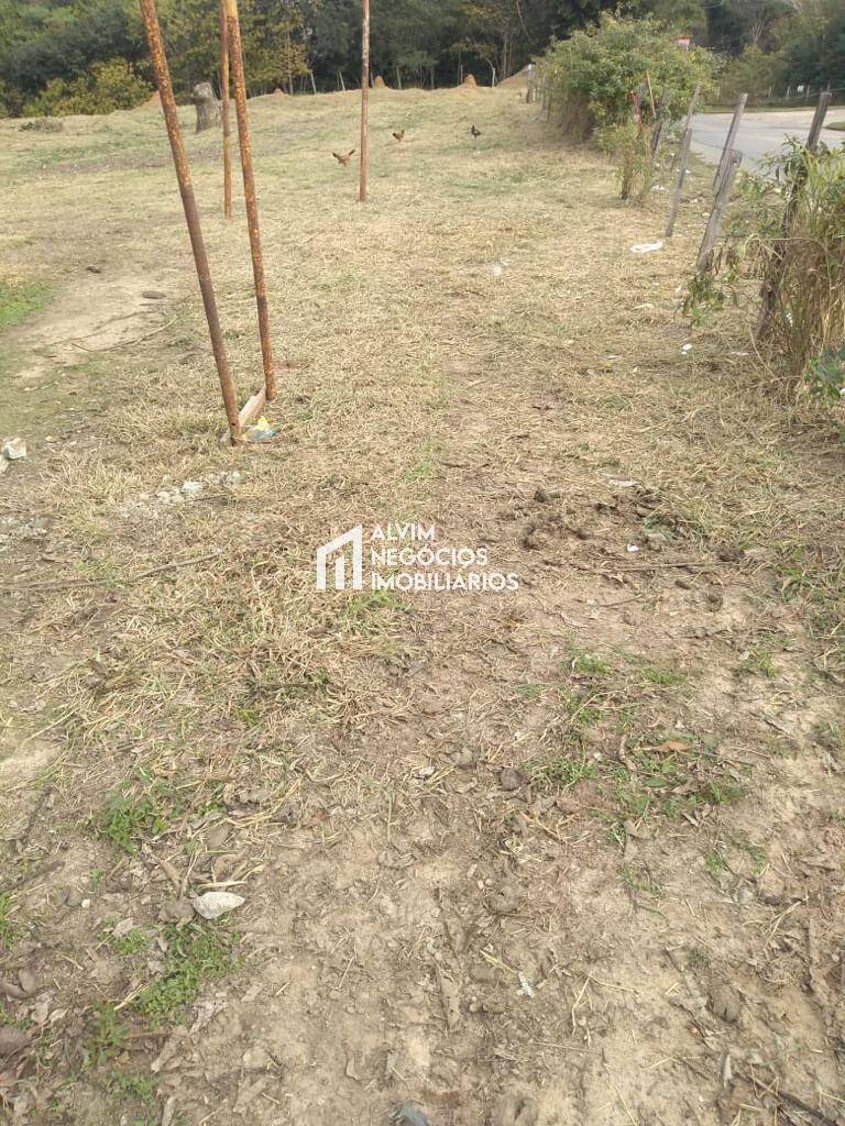 Terreno, 9100 m² - Foto 6