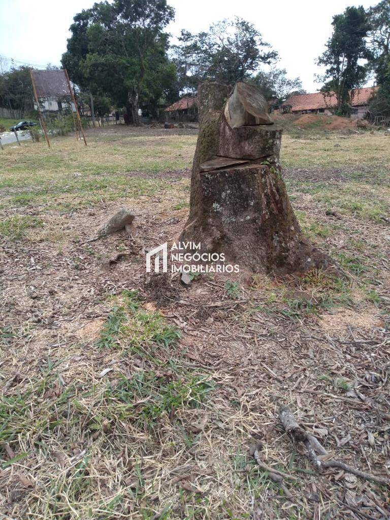 Terreno, 9100 m² - Foto 9