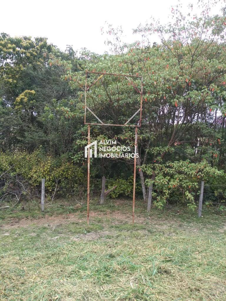 Terreno, 9100 m² - Foto 12