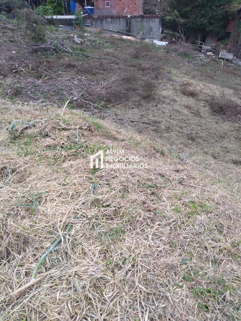 Terreno, 9100 m² - Foto 14