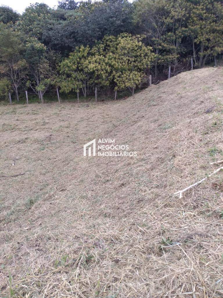 Terreno, 9100 m² - Foto 21
