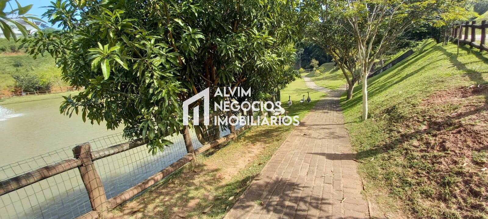 Terreno, 252 m² - Foto 11