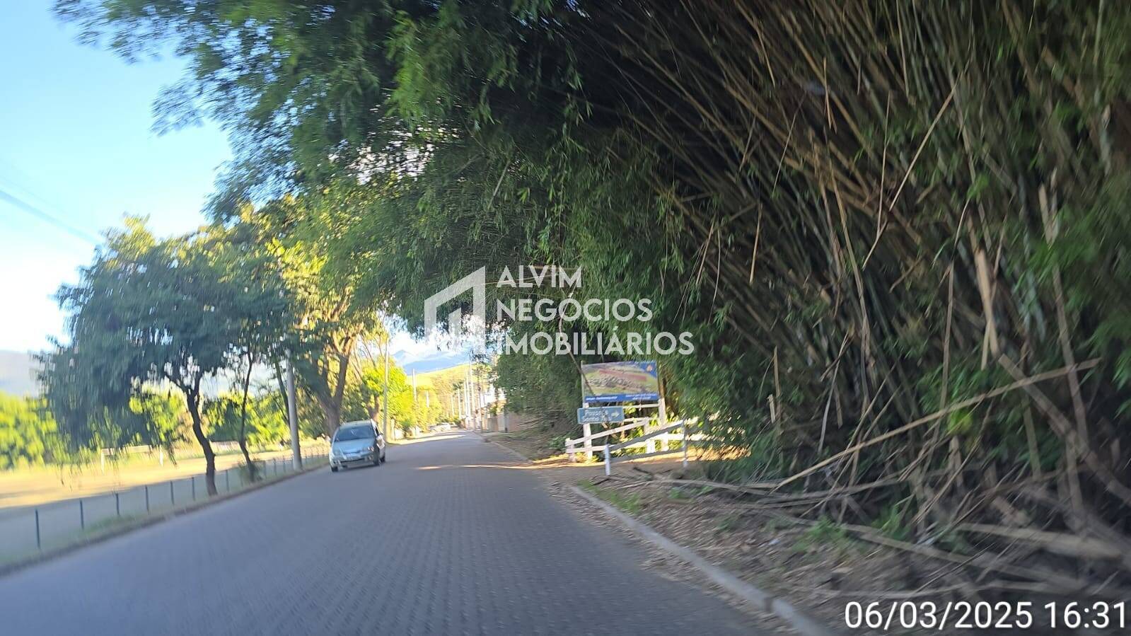 Chácara à venda com 3 quartos, 53000m² - Foto 5