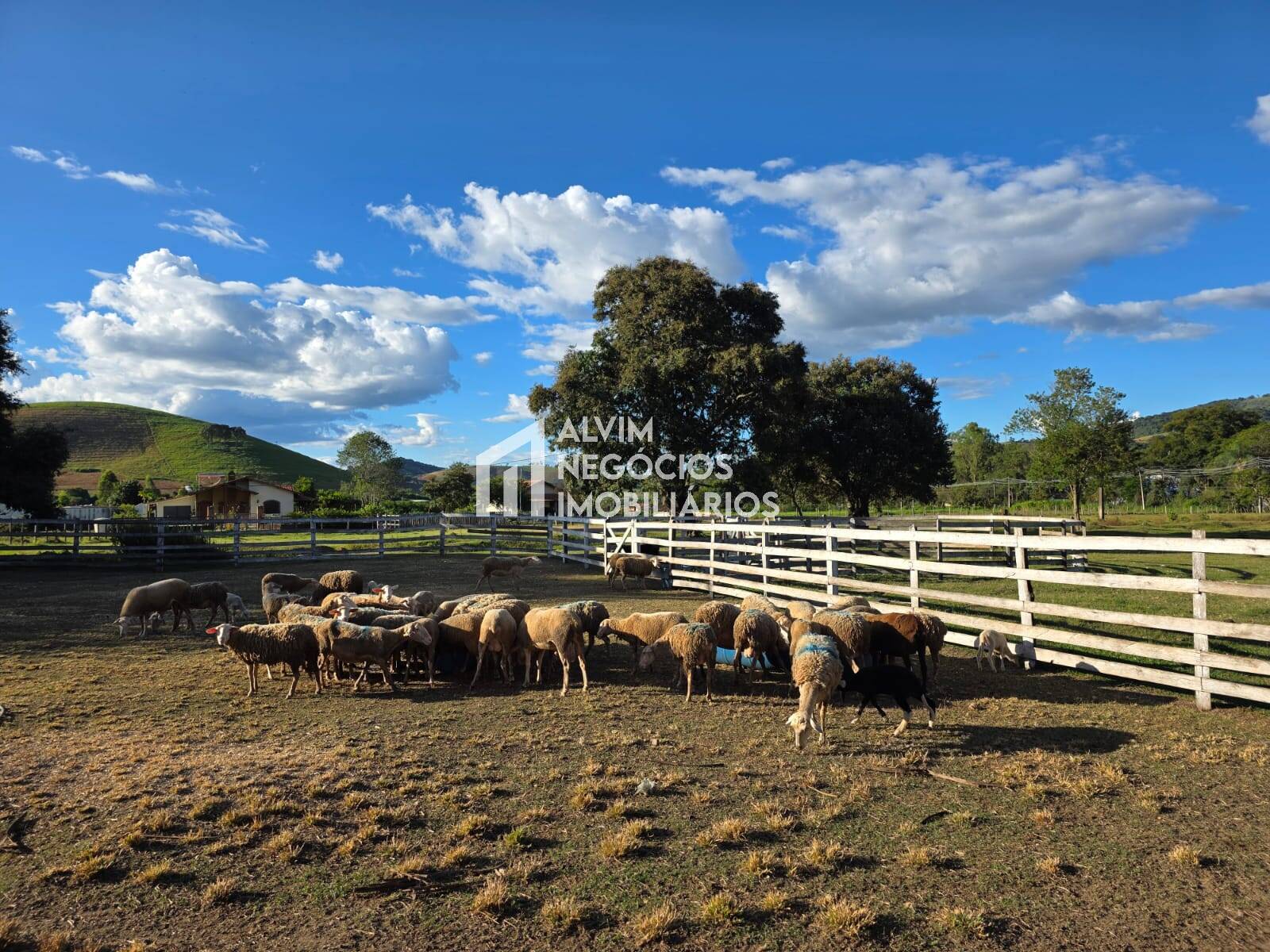 Chácara à venda com 3 quartos, 53000m² - Foto 14