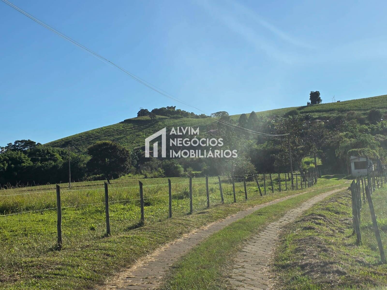 Chácara à venda com 3 quartos, 53000m² - Foto 17
