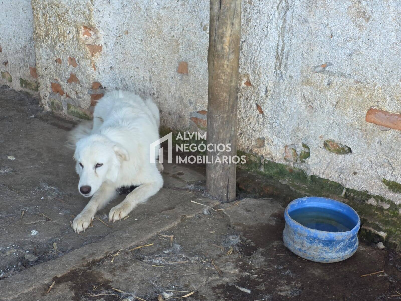 Chácara à venda com 3 quartos, 53000m² - Foto 19