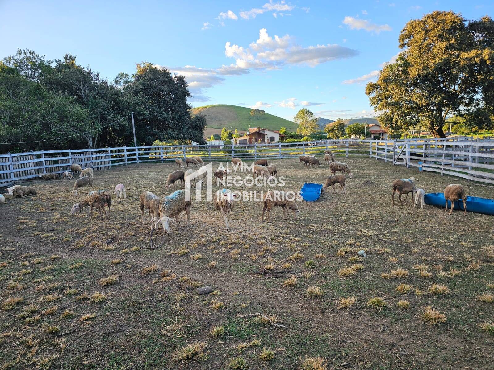 Chácara à venda com 3 quartos, 53000m² - Foto 34