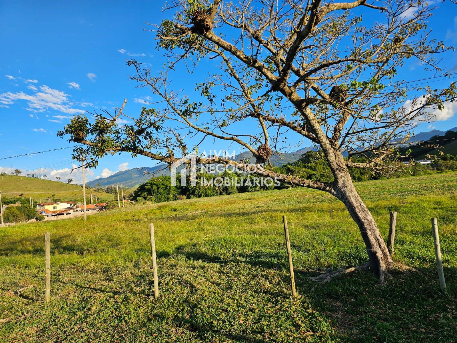 Chácara à venda com 3 quartos, 53000m² - Foto 35