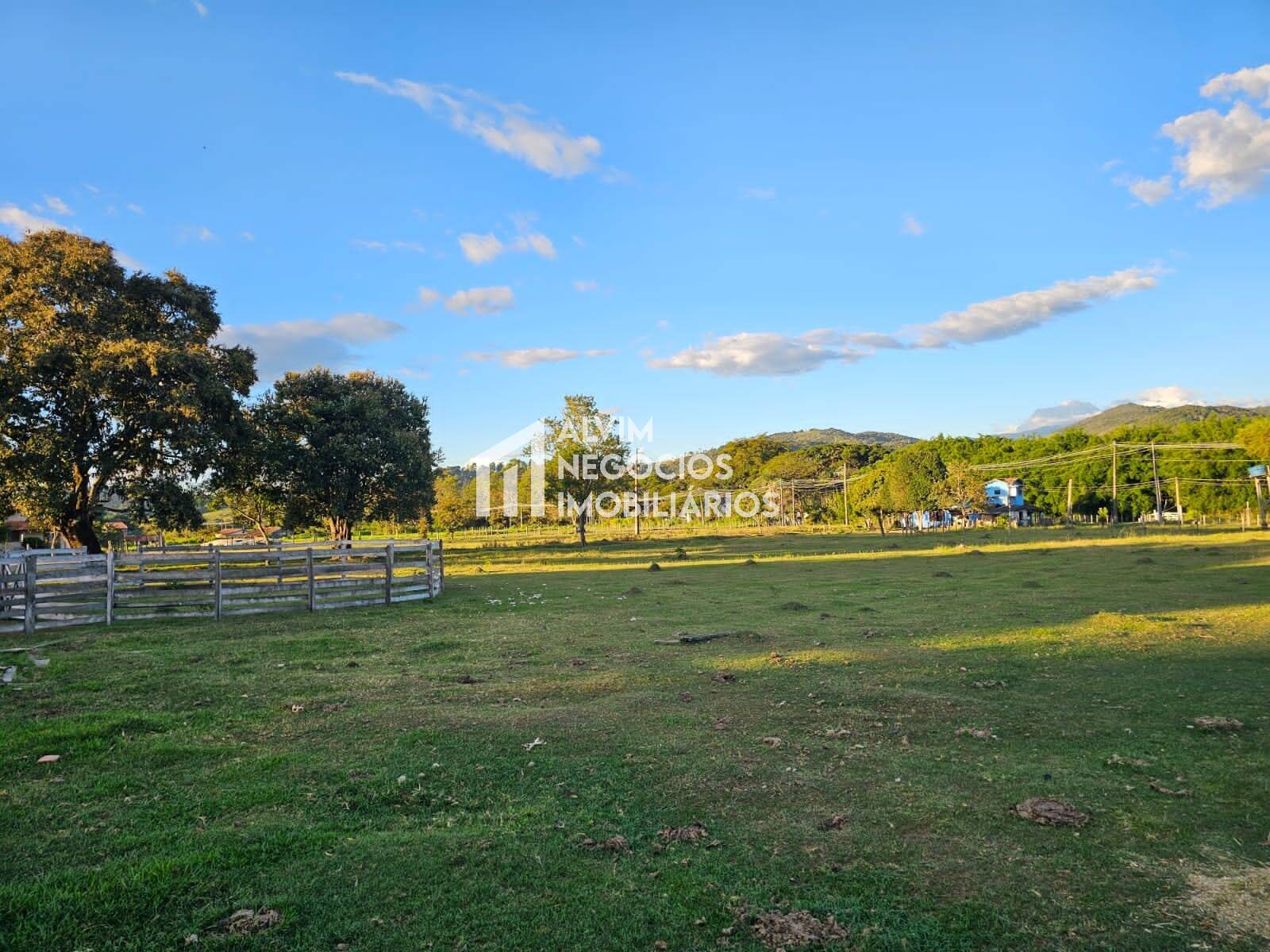 Chácara à venda com 3 quartos, 53000m² - Foto 38