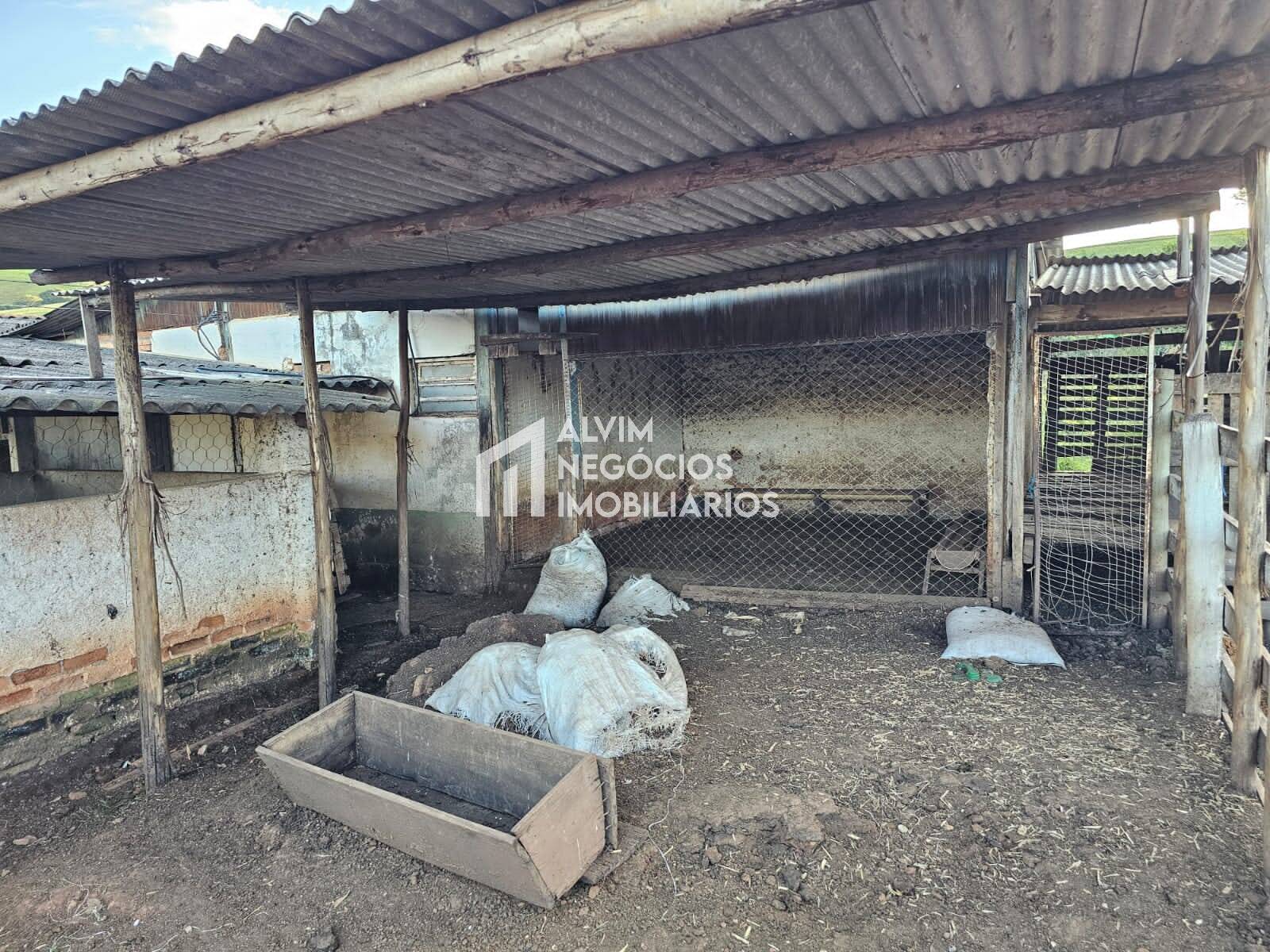 Chácara à venda com 3 quartos, 53000m² - Foto 41