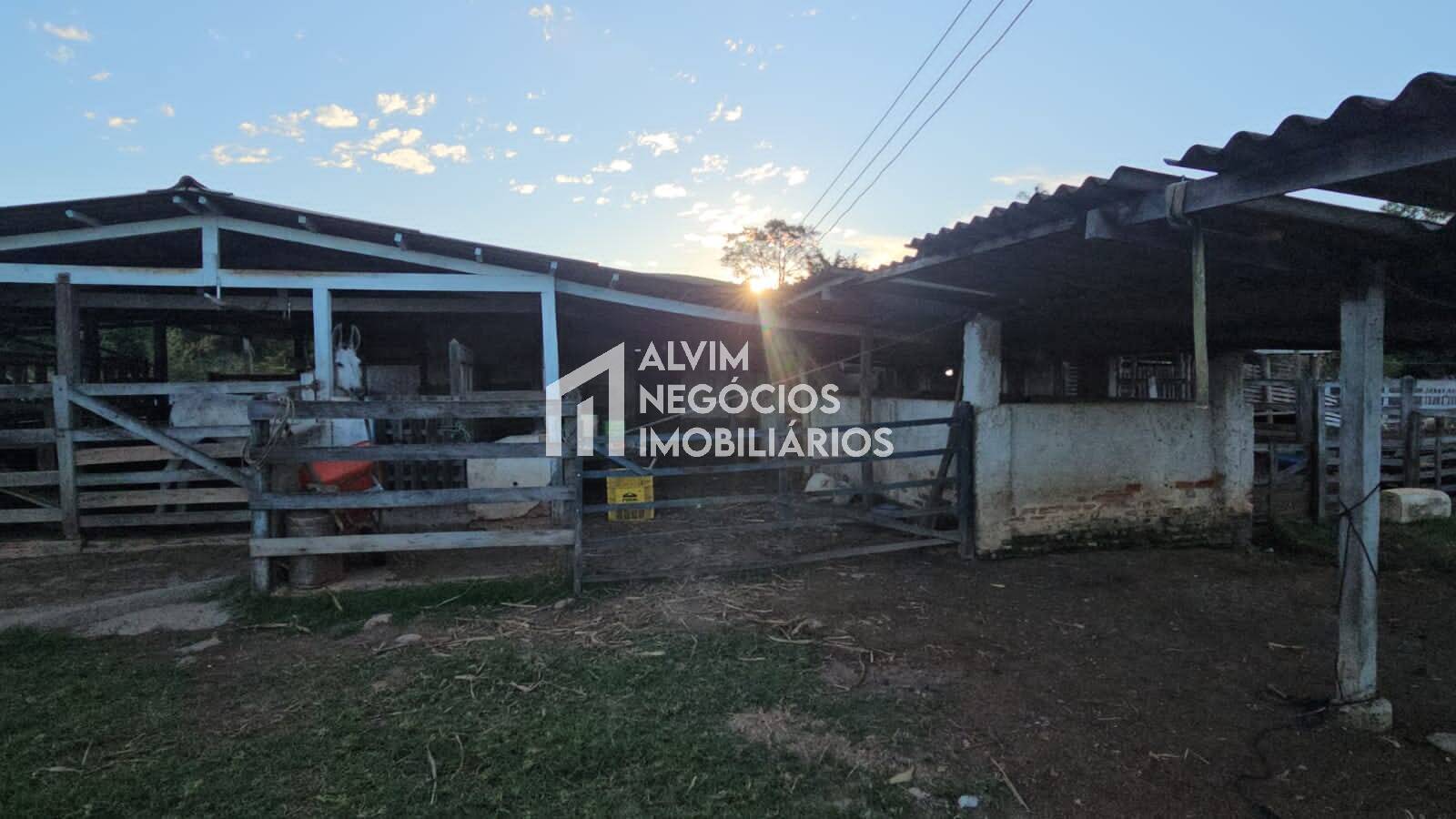 Chácara à venda com 3 quartos, 53000m² - Foto 45