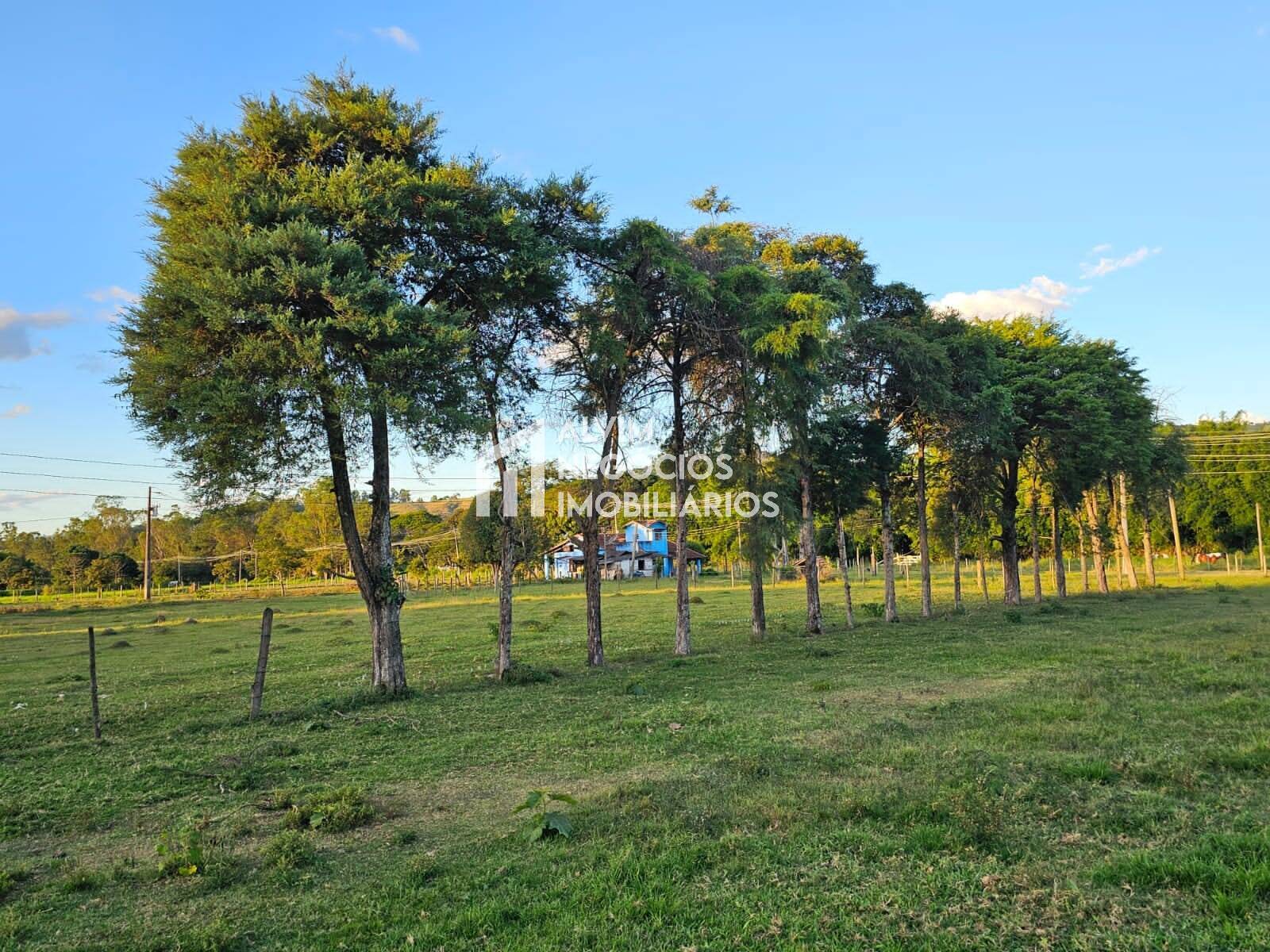 Chácara à venda com 3 quartos, 53000m² - Foto 51