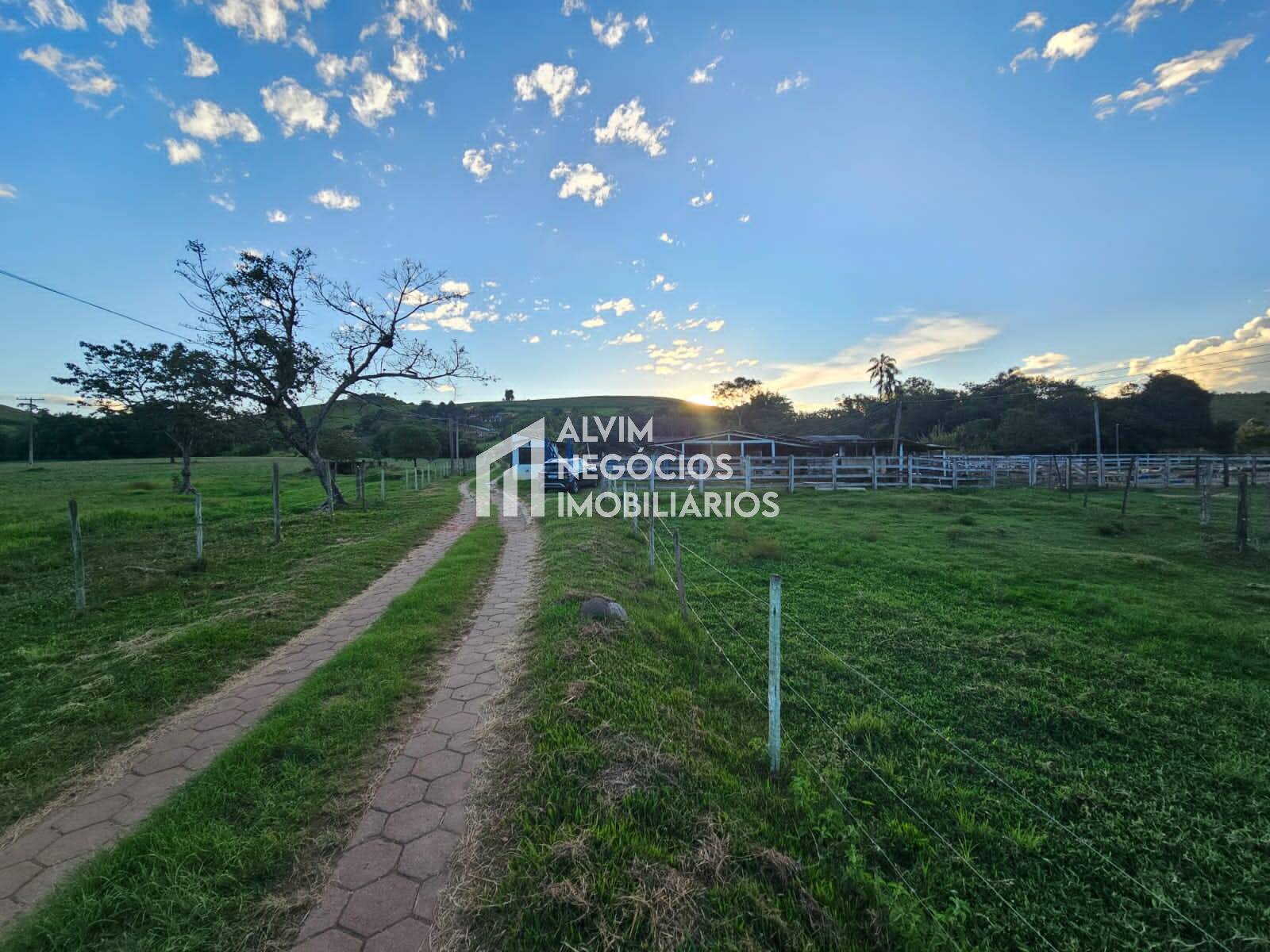 Chácara à venda com 3 quartos, 53000m² - Foto 52