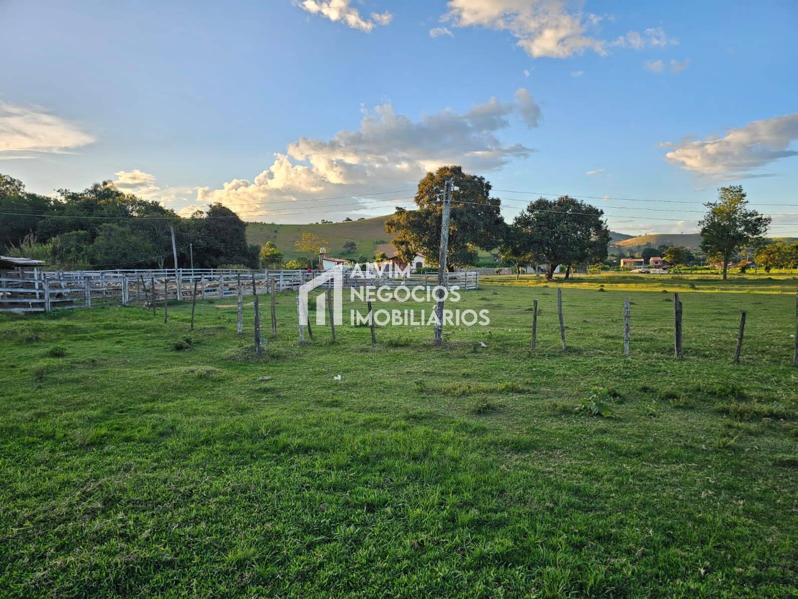 Chácara à venda com 3 quartos, 53000m² - Foto 60