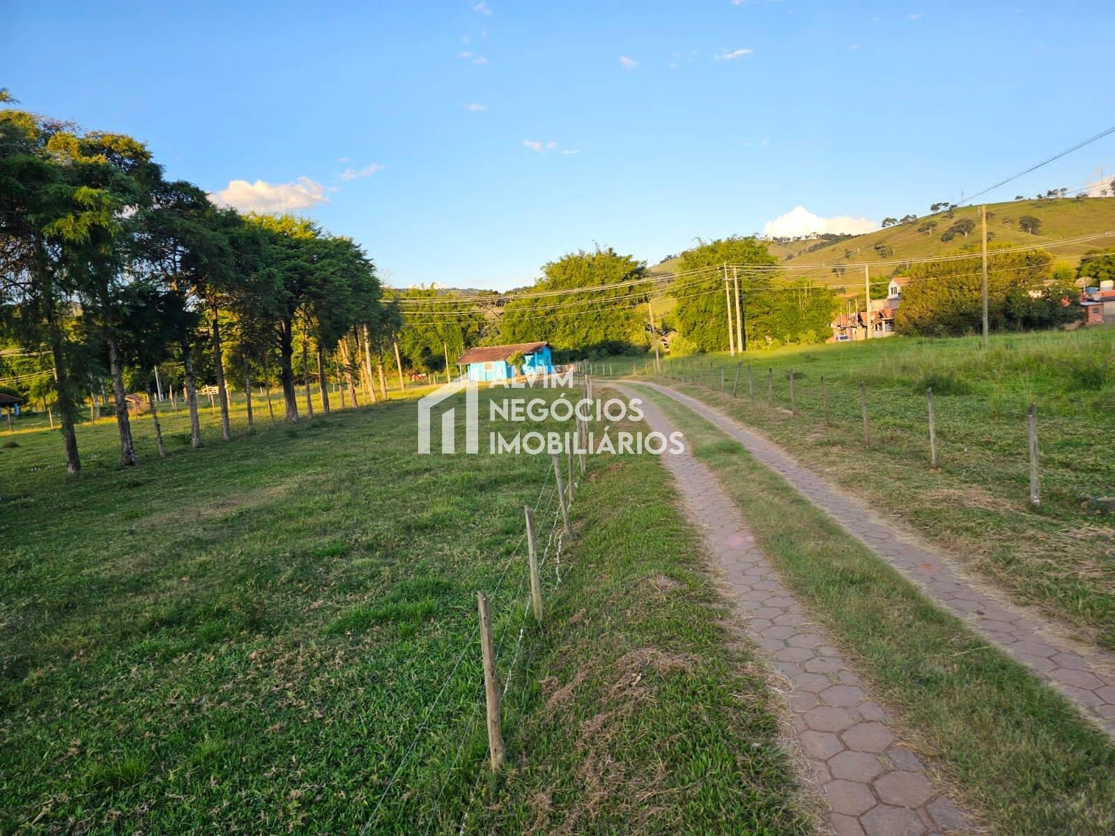 Chácara à venda com 3 quartos, 53000m² - Foto 61