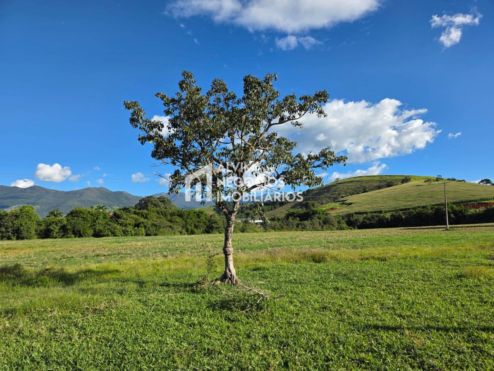 Chácara à venda com 3 quartos, 53000m² - Foto 65