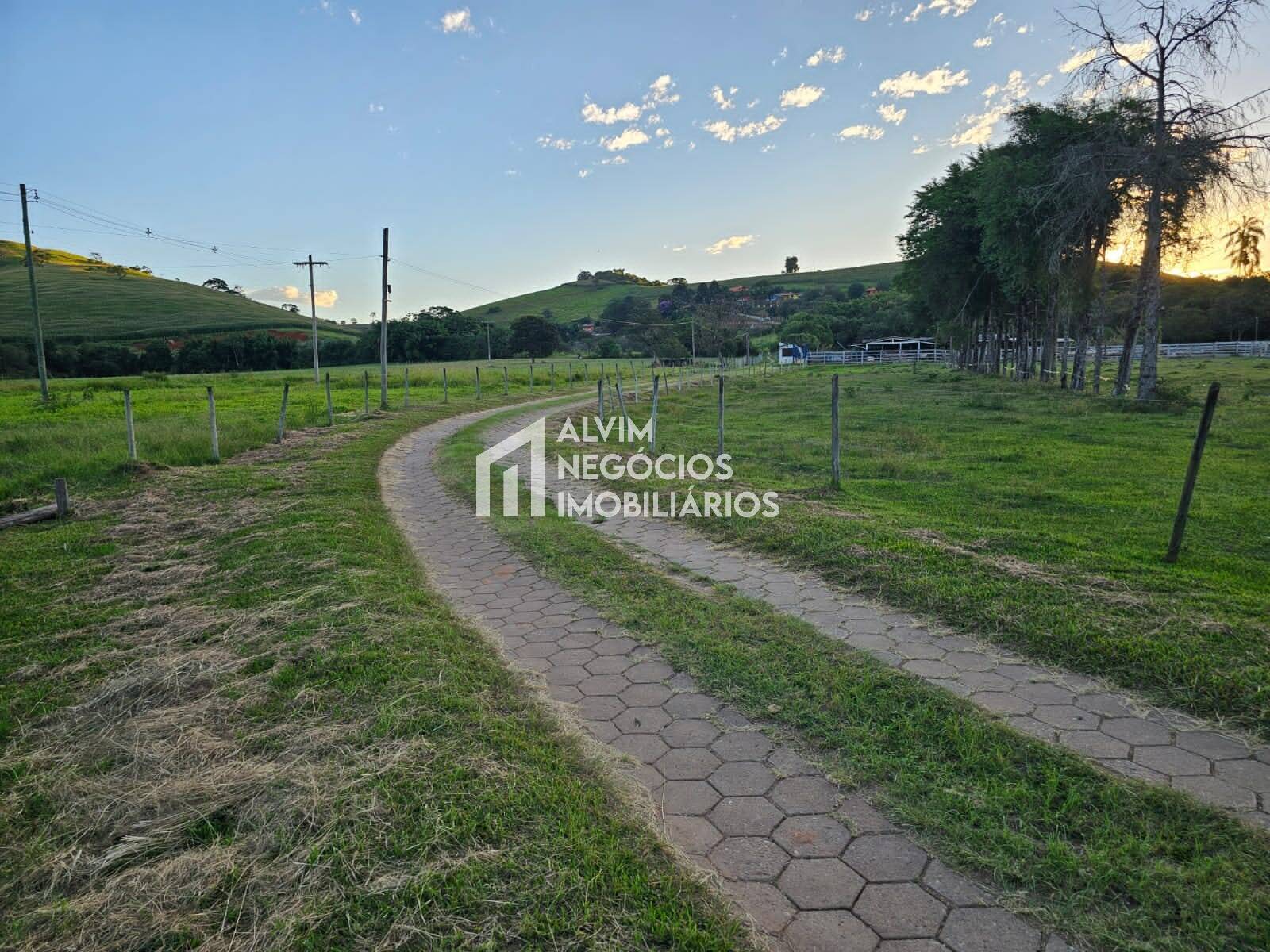 Chácara à venda com 3 quartos, 53000m² - Foto 85