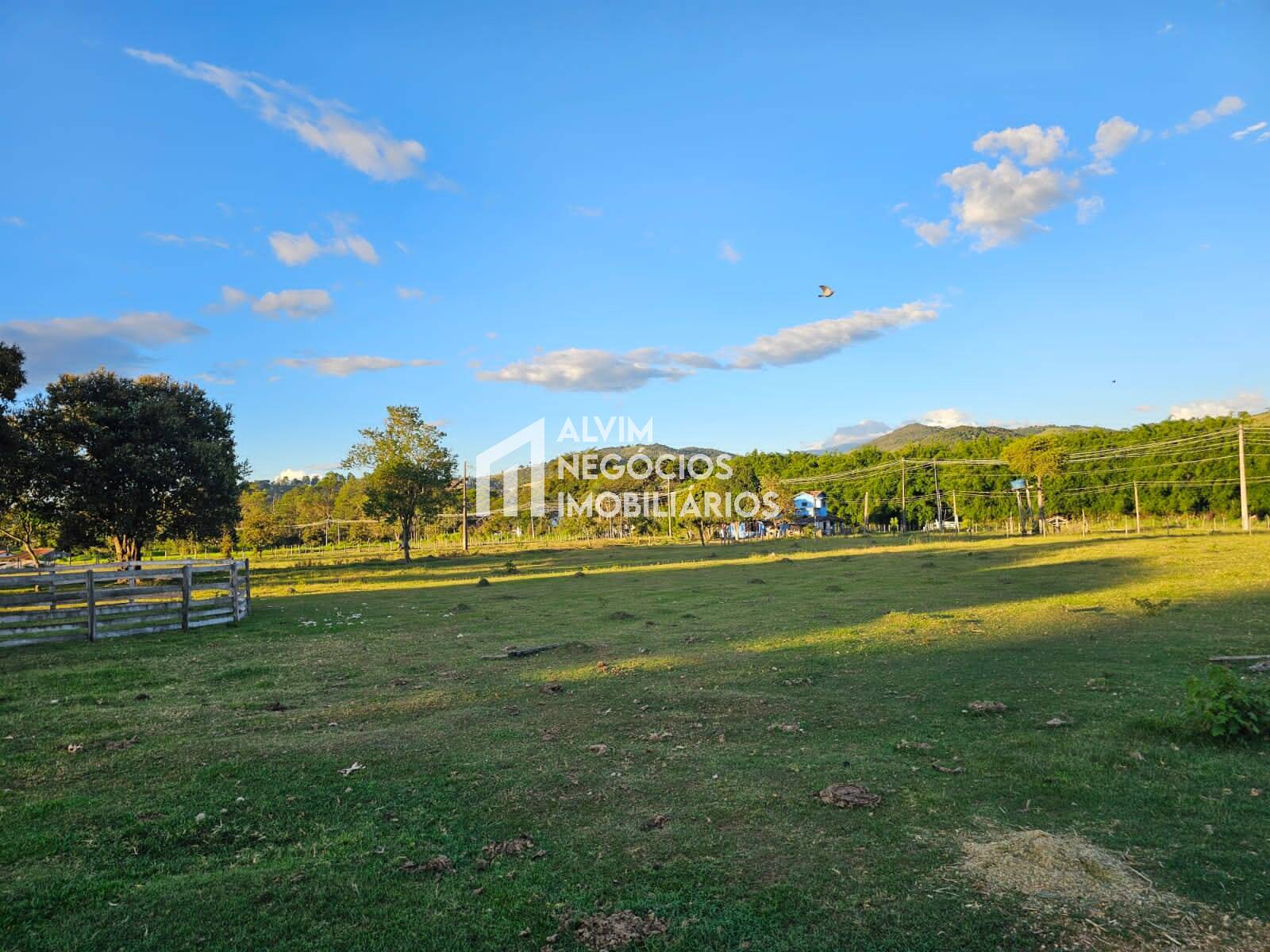 Chácara à venda com 3 quartos, 53000m² - Foto 86