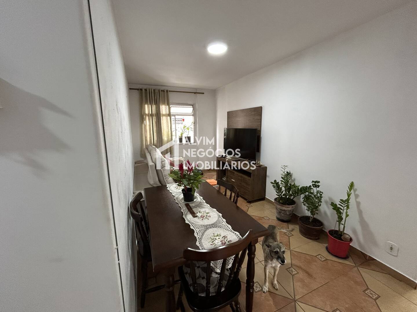 Apartamento à venda com 4 quartos, 98m² - Foto 1