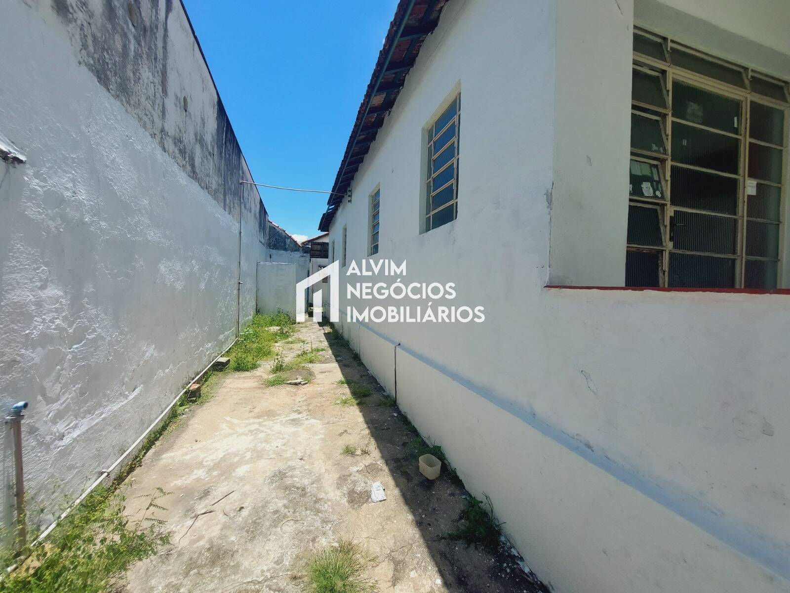 Casa, 4 quartos, 227 m² - Foto 74