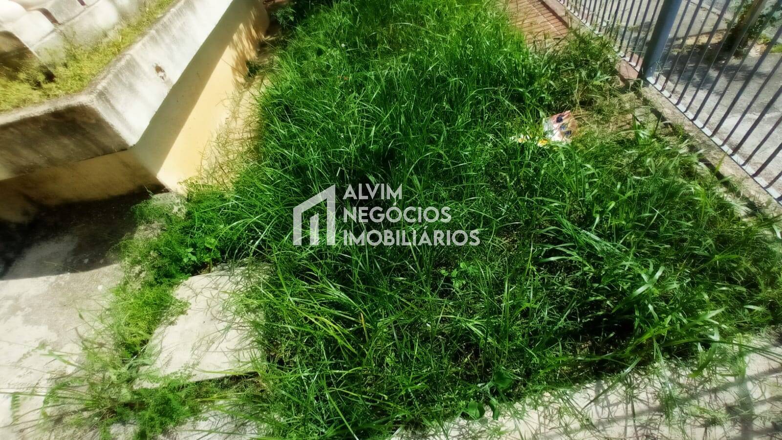 Casa à venda com 3 quartos, 300m² - Foto 41
