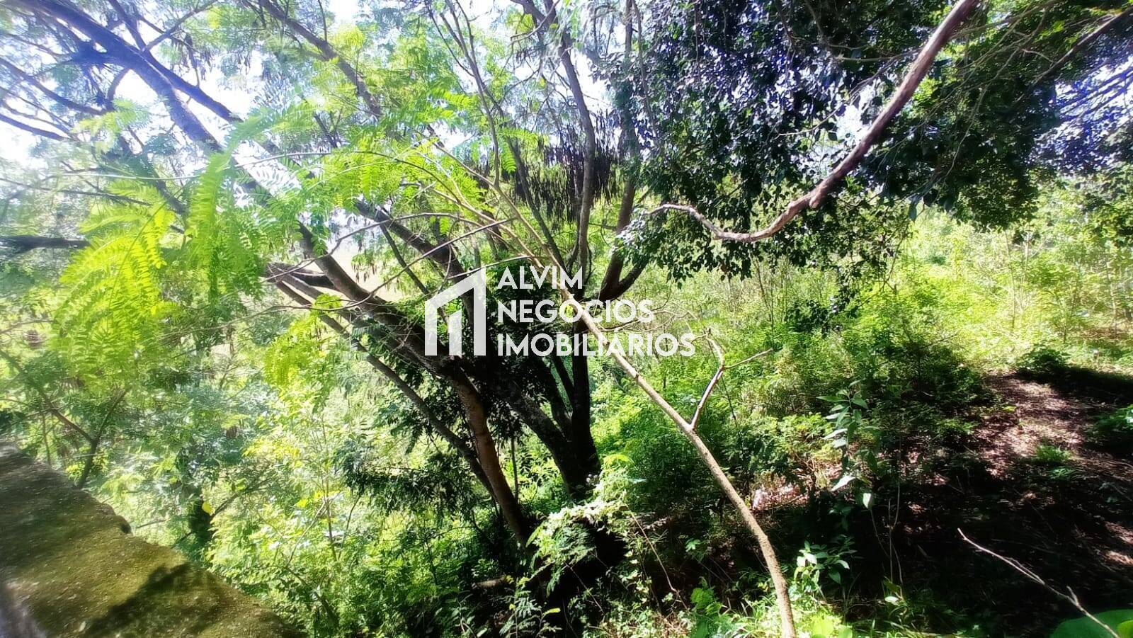 Terreno, 685 m² - Foto 3