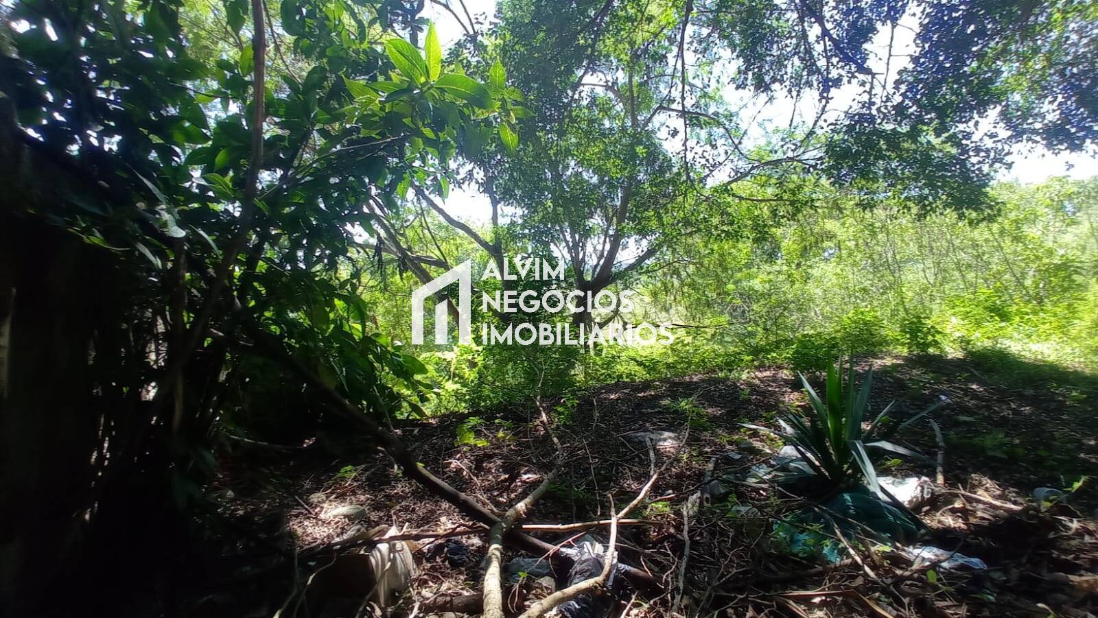 Terreno, 685 m² - Foto 14