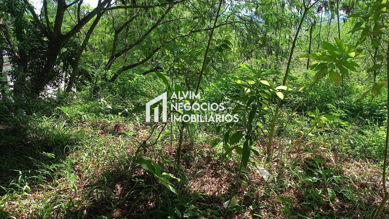 Terreno, 685 m² - Foto 19